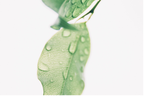 五行宜忌(一) 五行宜忌(一)