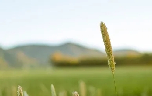 輕松記憶十神（一）